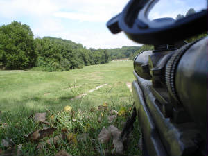 rifle.jpg